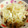 熊きょ's cooksnap of when they made もやしとささみのからしあえ.