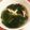 シナモシナモ's cooksnap of when they made ＊ほうれん草とベーコンのスープ＊.