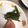 クックZ8J4H4☆'s cooksnap of when they made ５分でいんげんおかか和え.
