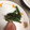 クックZ8J4H4☆'s cooksnap of when they made ５分でいんげんおかか和え.