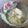 ゆー５'s cooksnap of when they made 混ぜて＠簡単！豆腐のアイスクリーム.