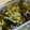 たくちえ？'s cooksnap of when they made 簡単☆ナスの煮びたし.