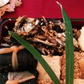 paddy　joy's cooksnap of when they made 田作り.
