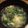 ポップキッチン's cooksnap of when they made ＊ターサイと椎茸の中華スープ＊.