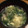 ポップキッチン's cooksnap of when they made ＊ターサイと椎茸の中華スープ＊.