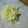 ピーナッツ子♪'s cooksnap of when they made 自家製！切干大根.
