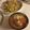 クックPW9C2T☆'s cooksnap of when they made むらさき玉ねぎ入りのお味噌汁.