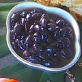 tataleo's cooksnap of when they made 圧力鍋で作る失敗しないふっくら黒豆.