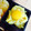 naonico's cooksnap of when they made 美味しい簡単な栗きんとん.