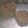 クックF278N6☆'s cooksnap of when they made チョコチップ入りココアパン.