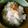 クック3D63YZ☆'s cooksnap of when they made 数の子でさっくと簡単混ぜご飯！.