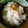 クック3D63YZ☆'s cooksnap of when they made 数の子でさっくと簡単混ぜご飯！.