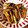 エル♀'s cooksnap of when they made おかずにしちゃえ！サツマイモのきんぴら　.