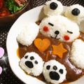 AckyCHAMA's cooksnap of when they made 温泉クマさんのエコカレー.