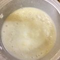 メイリン31's cooksnap of when they made ヨーグルティアde簡単♪米こうじの甘酒.