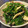 ＊kanakana＊'s cooksnap of when they made ほうれん草ときのこのナムル.
