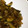 クック1U0YQ1☆'s cooksnap of when they made 牛肉と茄子の甘辛炒め.