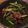 shifow's cooksnap of when they made 牛肉とにんにくの芽の炒め物.