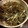 kurikuri's cooksnap of when they made 簡単おせち★田作り.
