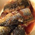 りゅう＆ゆう＆りょう's cooksnap of when they made さばの味噌煮.