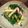 myonesan's cooksnap of when they made 簡単＊胃に優しい＊三つ葉の和え物.