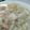 ♡Chageちゃん♡'s cooksnap of when they made 柚子香る♡かぶと豚肉の柔らか豆乳煮込み.