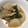 紫苑0804's cooksnap of when they made 蕪とお揚げの炊いたん.
