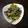 cococo0604's cooksnap of when they made 小松菜のオイスターソース炒め.