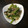 cococo0604's cooksnap of when they made 小松菜のオイスターソース炒め.