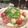 オニオンベーグル's cooksnap of when they made 水菜の海鮮サラダ.