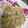 たまのじゃく's cooksnap of when they made しらたきで豆乳クリームパスタ.