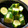 hamjiro's cooksnap of when they made 昆布茶で簡単！きゅうりの浅漬け.