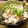 ちべターリー's cooksnap of when they made ササミの梅肉和え.