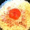 さかなす's cooksnap of when they made 簡単！トマトの炊き込みご飯♡.