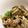 おじぽんくん's cooksnap of when they made きのことこんにゃくの炒め物.