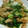しししむむむ's cooksnap of when they made 白菜とムネ肉の中華炒め.