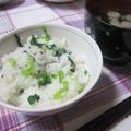 ぽんぽん堂's cooksnap of when they made 小松菜の混ぜ御飯.