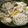 ぐうたらなまけもの's cooksnap of when they made 豚レタスしゃぶしゃぶ蕎麦鍋.