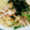 sakahiron's cooksnap of when they made 簡単鶏ささみと水菜の和風バター醤油パスタ.