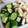 Lyme409's cooksnap of when they made 我が家の胡瓜の漬物♡.