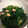 りぃちゃんmama♡'s cooksnap of when they made ♡ほうれん草と油揚げの煮物♡.
