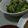 kazum1n's cooksnap of when they made カキ小松菜ベーコンのオイスターソース炒め.
