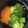 ｽｶｲﾌｨｯｼｭ☆'s cooksnap of when they made 野菜まるけの簡単トースター焼き♪.