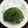 クックLRZ2H1☆'s cooksnap of when they made レンジで簡単/もっちり青汁ケーキ.