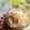 ☆こまっと☆'s cooksnap of when they made 定番♪簡単♪大根とホタテのサラダ♡.