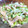 アネクメーネ's cooksnap of when they made もやしで簡単☆さっぱり梅おひたし.