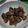 gumegumi's cooksnap of when they made 簡単！砂肝のおつまみ♪.