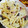kojyu's cooksnap of when they made *しめじとソーセージのクリームペンネ*.