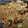 ふかみんと's cooksnap of when they made 鶏肉のしょうが焼き.