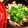 クックGKNEB9☆'s cooksnap of when they made ストウブ♪　あさりとかぶのニンニク蒸し.
